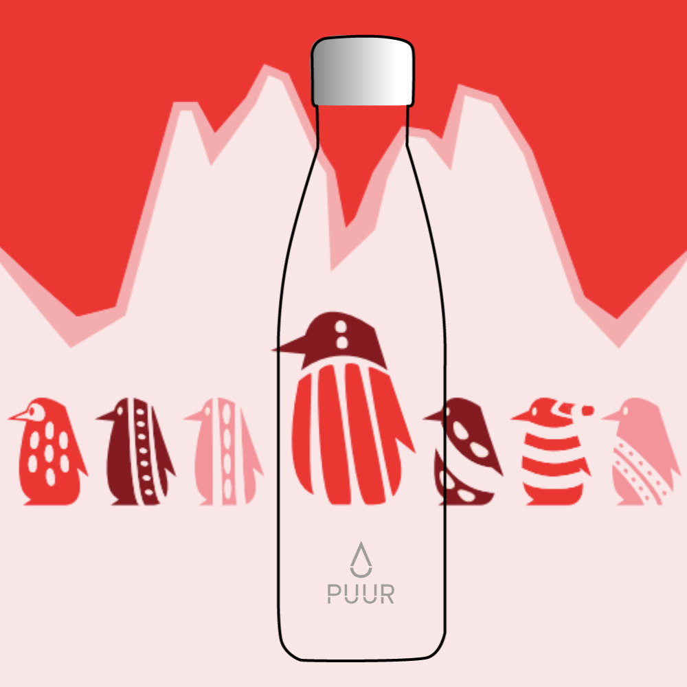 BARBARA REYES / CAROLINA SAEZ