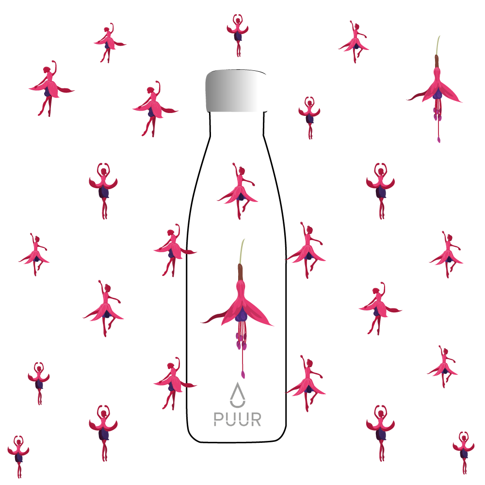 CLAUDIA ANDREA SALAZAR ROJAS