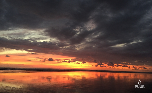 Día de los Océanos