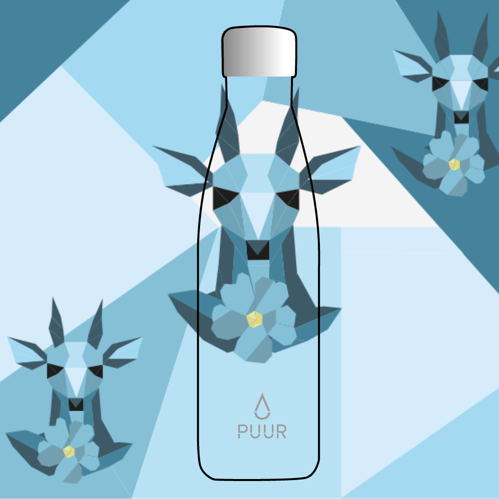 TRINIDAD DAMJANIC / SOFÍA GUITERREZ