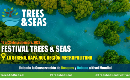 Festival Tree & Seas en Chile y a nivel Mundial