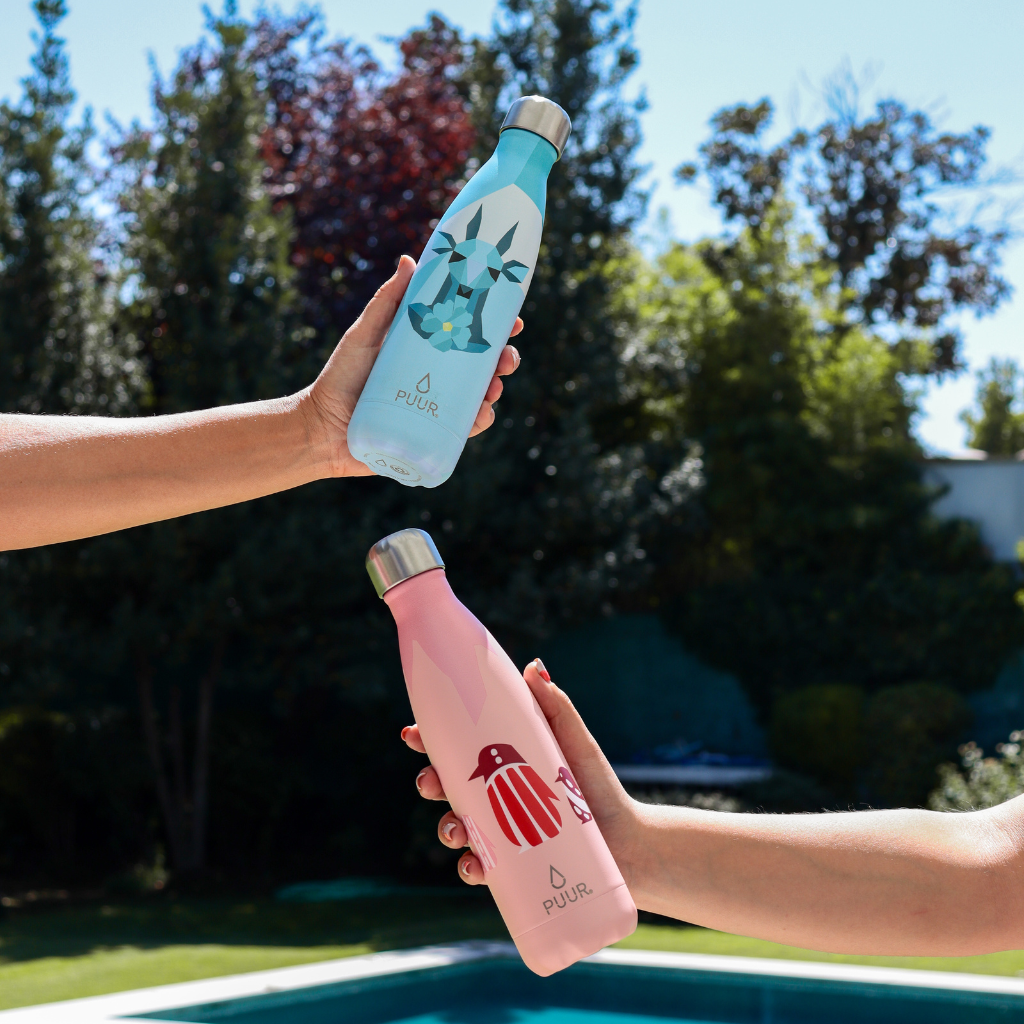 Botella Huemul 500 ml